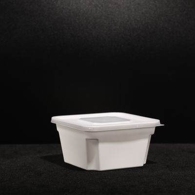 Buiten Duurzame PP Lunchbox Voor Warm En Koud Eten Met Aanpassing Logo