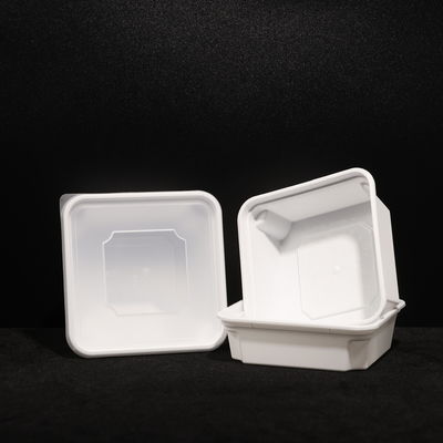 Buiten Duurzame PP Lunchbox Voor Warm En Koud Eten Met Aanpassing Logo