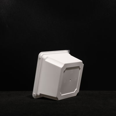Prueba de fugas Impreso a medida de grado alimenticio caja de almuerzo desechable multiuso caja de comida desechable 1000pcs