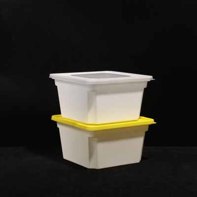 Scatole per pranzo in PP protetta per alimenti rettangolare da 1000 ml multiuso per alimenti caldi e freddi