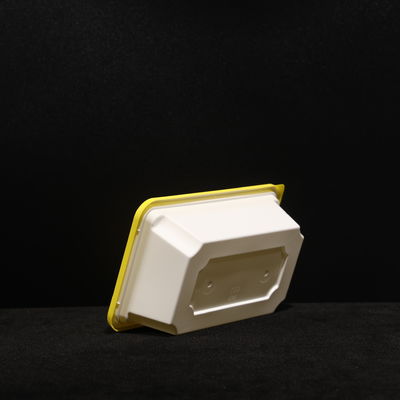 Langlebige PP-Lunchbox Fastfood-Fruchtverpackung Kunststoffbox mit undichtem Deckel