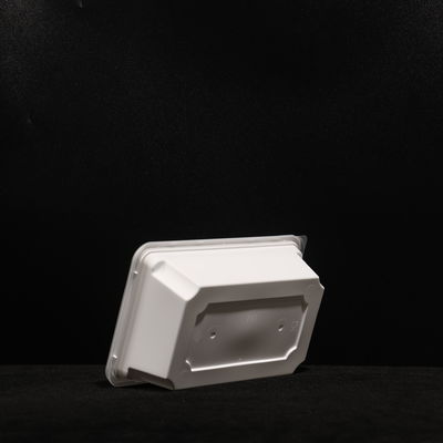 PP-Sandwichverpackungskiste PP-Lunchbox mit individuellem Druck für heiße und kalte Lebensmittel
