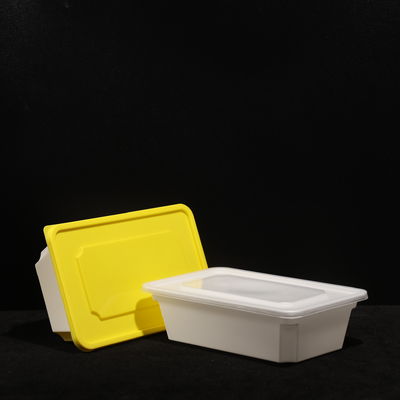 PP-Sandwichverpackungskiste PP-Lunchbox mit individuellem Druck für heiße und kalte Lebensmittel