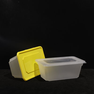 Customized Waterproof Leak Proof PP Sandwich Lunch Box dengan Layanan OEM