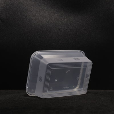 750 ml rechthoekige wegwerp PP plastic sandwich lunchbox