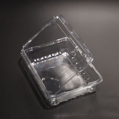 Contenitori per la conservazione degli alimenti in plastica PET trasparente con coperchio